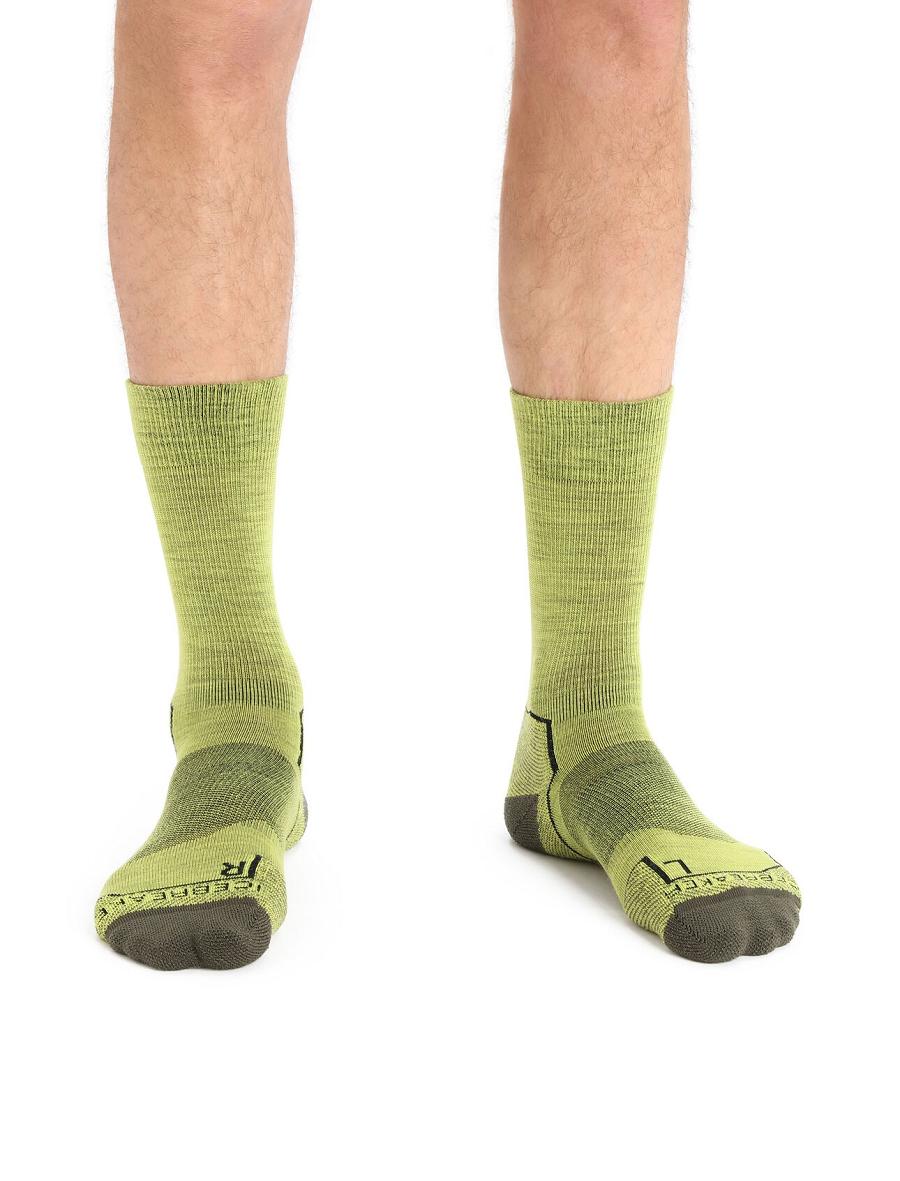 Shine / Loden Icebreaker Merino Hike+ Light Crew Men's Socks | AU 1040HAPK